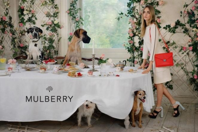 Mulberry
